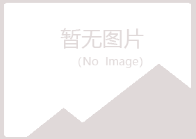 中卫山柳设计有限公司